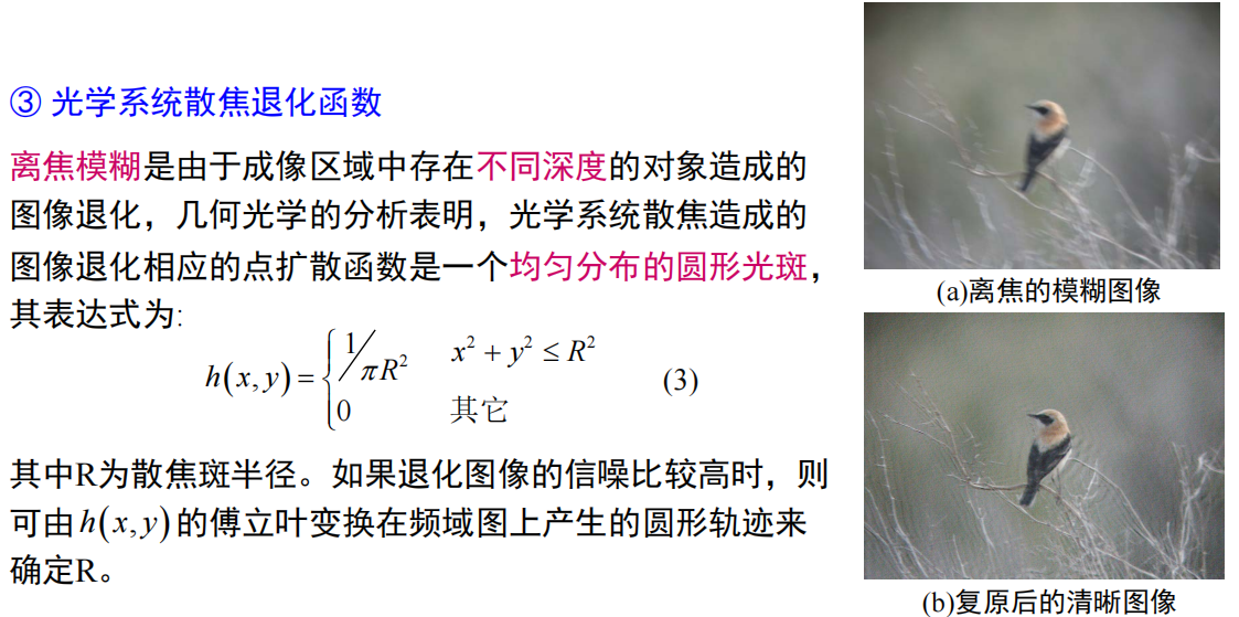 image-20231210192353585