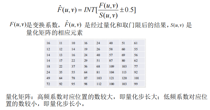 image-20231211223918494