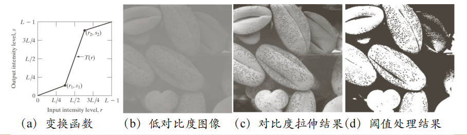 image-20230815234212147